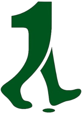 First Noble Step (Private) Limited logo